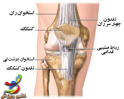 فیزیوتراپی رباط صلیبی زانو